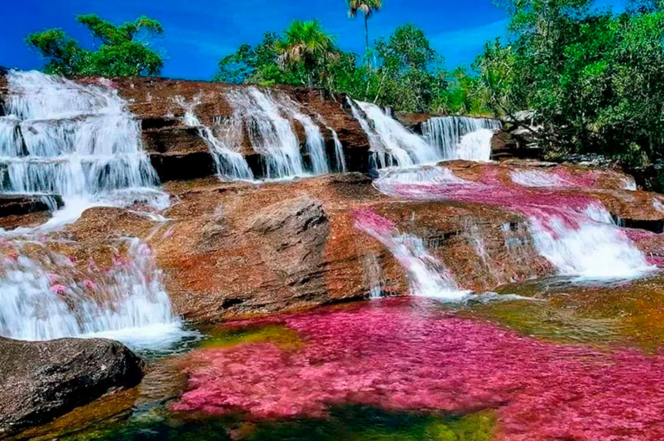 CAÑO CRISTALES COLOMBIA